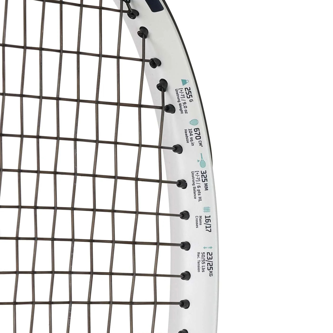 Babolat Evo Drive Lite Tennis Racket (255g) (Unstrung)